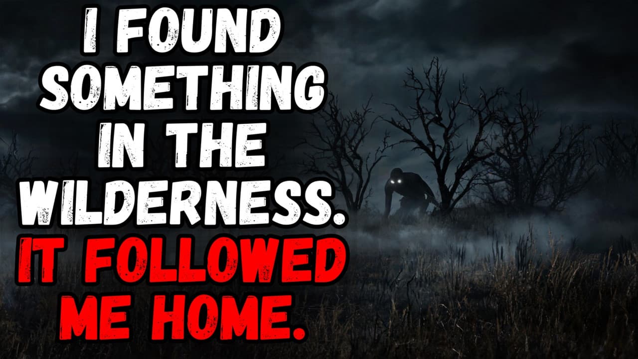 Still from I Found Something in the Wilderness. It Followed Me Home.